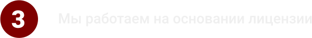3 Мы работаем на основании лицензии